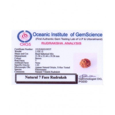 7 faced Rudraksha 100% original Lab certified 7 face mukhi Nepali beads / Divine Almighty Genuine Rudraksha by RUDRA