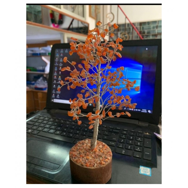 7 to 9 Inches Red Carnelian Natural Agate Stone Tree