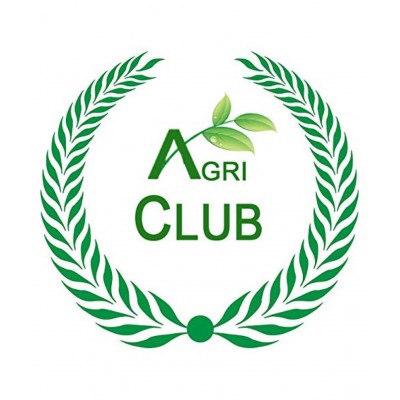 AGRI CLUB Alum Stone/Fitkari/ Raw Herbs 400 gm Pack Of 1