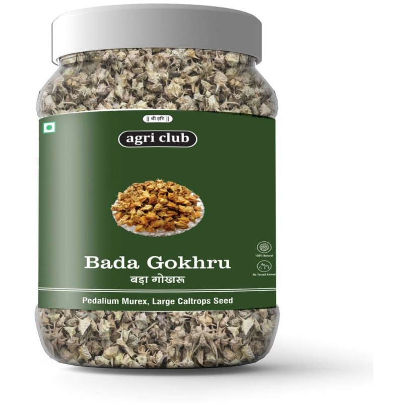 AGRI CLUB Bada Gokhru-Pedalium Murex-Gokhroo Bada Raw Herbs 300 gm