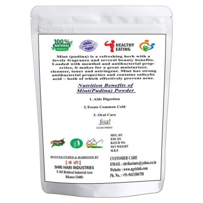 AGRI CLUB Dry Mint Powder 200 gm