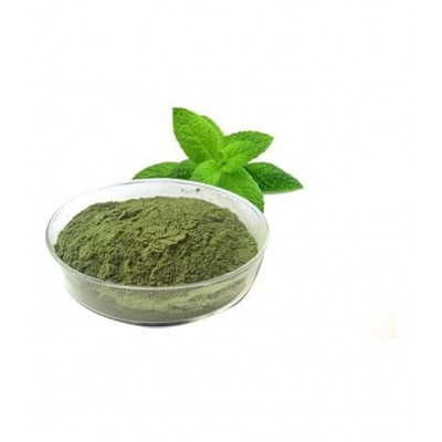 AGRI CLUB Dry Mint Powder 200 gm