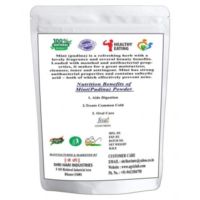 AGRI CLUB Dry Mint Powder 400 gm