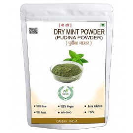AGRI CLUB Dry Mint Powder 400 gm