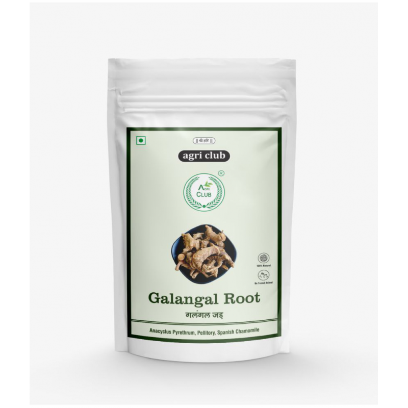 AGRI CLUB Galangal Root-Paan Jadd-Thai Ginger Raw Herbs 250 gm