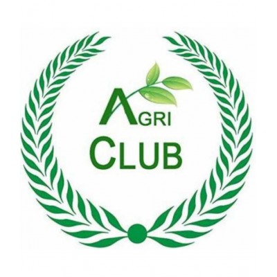 AGRI CLUB Moti Saunf-Fennel Seed Big-Foeniculum Vulgare 500 gm