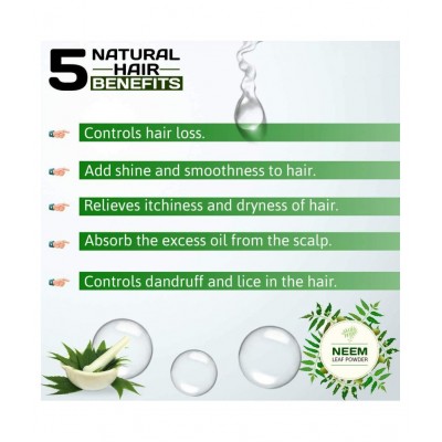 AMISHI 100 Gram, Neem Leaves Powder Powder 100 gm Pack Of 1