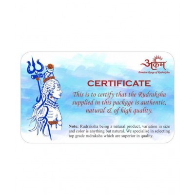 ARKAM Premium Seven Mukhi Rudraksha / Original Nepali 7 Mukhi Rudraksha / Natural 7 faced Rudraksha (Brown) with detailed Puja and wearing instructions