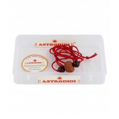 ASTRODIDI 10 Mukhi Rudraksha Ten Face Rudraksha Java Beads Small Size with Red Chandan Beads