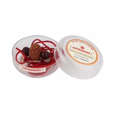 ASTRODIDI 10 Mukhi Rudraksha Ten Face Rudraksha Java Beads Small Size with Red Chandan Beads
