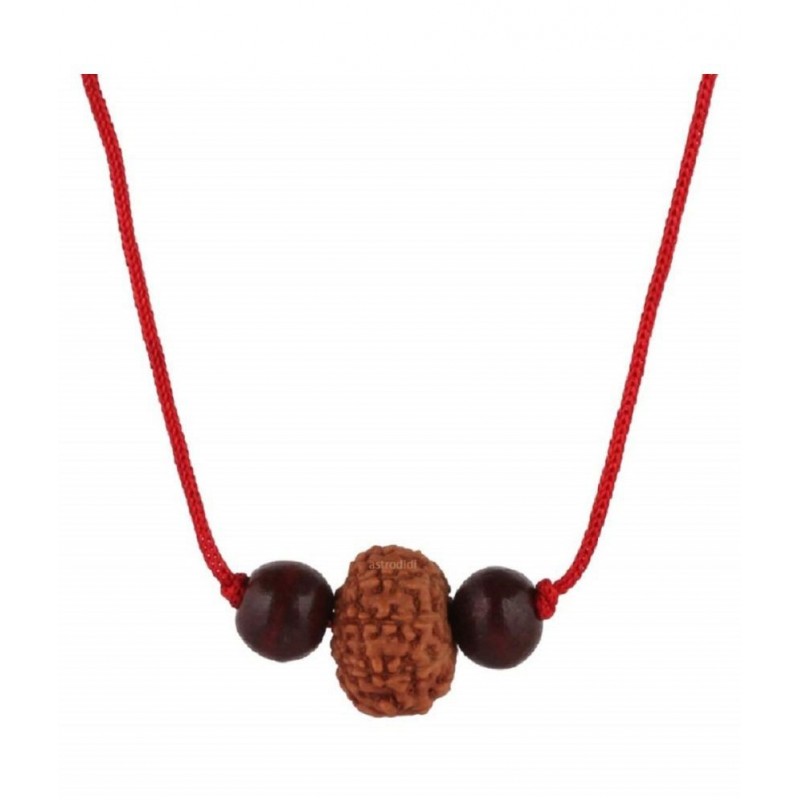 ASTRODIDI 10 Mukhi Rudraksha Ten Face Rudraksha Java Beads Small Size with Red Chandan Beads