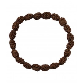 ASTRODIDI 2 Mukhi Two Face Rudraksha Bracelet Java Beads