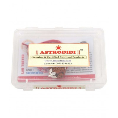 ASTRODIDI 4 Mukhi Rudraksha Pendant With Lab Report