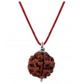 ASTRODIDI 4 Mukhi Rudraksha Pendant With Lab Report