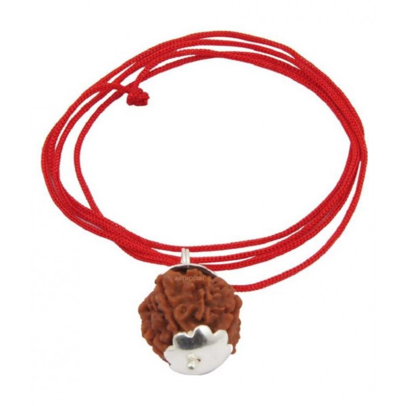ASTRODIDI 7 Mukhi / Seven Face Rudraksha Pendant With Lab Certificate