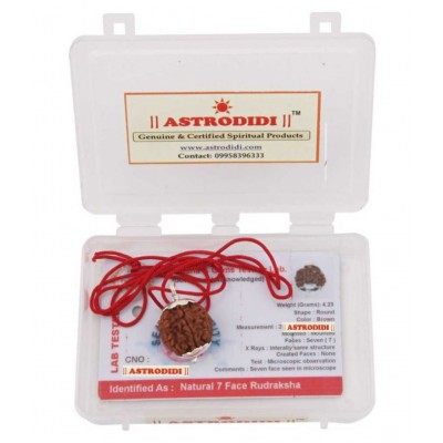 ASTRODIDI 7 Mukhi Rudraksha With Lab Report
