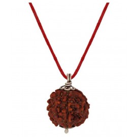 ASTRODIDI Five Face Rudraksha/ 5 Mukhi Rudraksha / 5 Face Rudraksha Pendant With Lab Certificate ASTRODIDI Five Face Rudraksha/ 5 Mukhi Rudraksha / 5 Face Rudraksha Pendant With Lab Certificate
