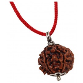 ASTRODIDI Five Face Rudraksha/ 5 Mukhi Rudraksha / 5 Face Rudraksha Pendant With Lab Certificate ASTRODIDI Five Face Rudraksha/ 5 Mukhi Rudraksha / 5 Face Rudraksha Pendant With Lab Certificate
