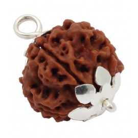 ASTRODIDI Five Face Rudraksha/ 5 Mukhi Rudraksha / 5 Face Rudraksha Pendant With Lab Certificate ASTRODIDI Five Face Rudraksha/ 5 Mukhi Rudraksha / 5 Face Rudraksha Pendant With Lab Certificate