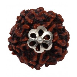 ASTRODIDI Five Face Rudraksha/ 5 Mukhi Rudraksha / 5 Face Rudraksha Pendant With Lab Certificate ASTRODIDI Five Face Rudraksha/ 5 Mukhi Rudraksha / 5 Face Rudraksha Pendant With Lab Certificate