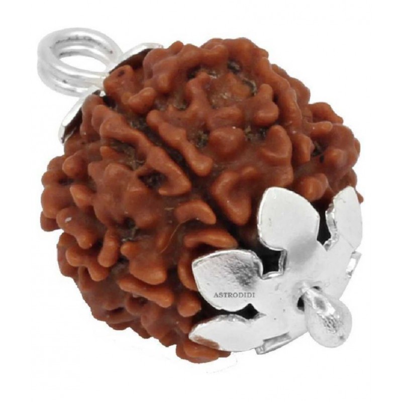 ASTRODIDI Four Face Rudraksha/ 4 Mukhi Rudraksha / 4 Face Rudraksha Pendant With Lab Certificate