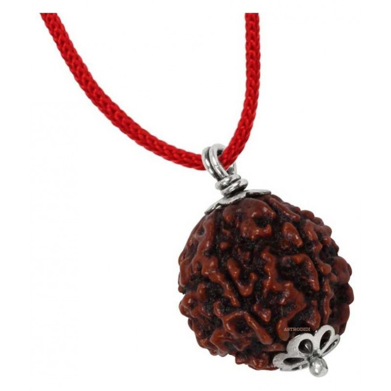 ASTRODIDI Seven Face | 7 Mukhi | 7 Face Rudraksha Nepali Pendant With Lab Certificate