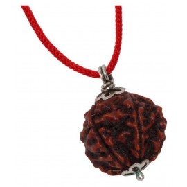ASTRODIDI Seven Mukhi Rudraksha Locket With Lab Certificate ASTRODIDI Seven Mukhi Rudraksha Locket With Lab Certificate