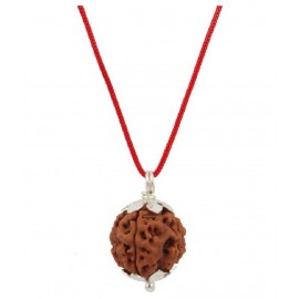 ASTRODIDI Six Face Rudraksha/ 6 Mukhi Rudraksha / 6 Face Rudraksha Pendant With Lab Certificate ASTRODIDI Six Face Rudraksha/ 6 Mukhi Rudraksha / 6 Face Rudraksha Pendant With Lab Certificate