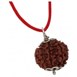 ASTRODIDI Six Face Rudraksha/ 6 Mukhi Rudraksha / 6 Face Rudraksha Pendant With Lab Certificate ASTRODIDI Six Face Rudraksha/ 6 Mukhi Rudraksha / 6 Face Rudraksha Pendant With Lab Certificate