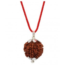 ASTRODIDI Six Face Rudraksha/ 6 Mukhi Rudraksha / 6 Face Rudraksha Pendant With Lab Certificate ASTRODIDI Six Face Rudraksha/ 6 Mukhi Rudraksha / 6 Face Rudraksha Pendant With Lab Certificate
