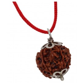 ASTRODIDI Six Face Rudraksha/ 6 Mukhi Rudraksha / 6 Face Rudraksha Pendant With Lab Certificate ASTRODIDI Six Face Rudraksha/ 6 Mukhi Rudraksha / 6 Face Rudraksha Pendant With Lab Certificate