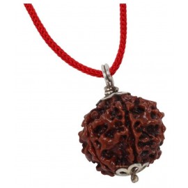 ASTRODIDI Six Face Rudraksha/ 6 Mukhi Rudraksha / 6 Face Rudraksha Pendant With Lab Certificate ASTRODIDI Six Face Rudraksha/ 6 Mukhi Rudraksha / 6 Face Rudraksha Pendant With Lab Certificate