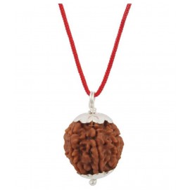 ASTRODIDI Six Face Rudraksha/ 6 Mukhi Rudraksha / 6 Face Rudraksha Pendant With Lab Certificate ASTRODIDI Six Face Rudraksha/ 6 Mukhi Rudraksha / 6 Face Rudraksha Pendant With Lab Certificate