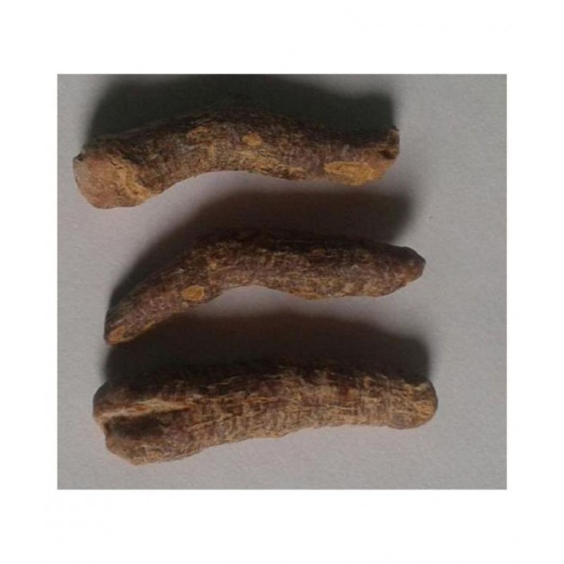 Aadigange Haldi Kali