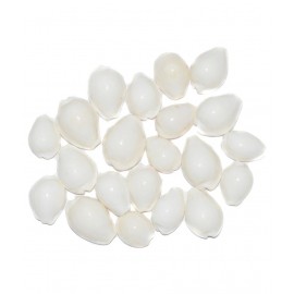 Aksaya Marketing Marble White Kodi Shell - Pack of 21