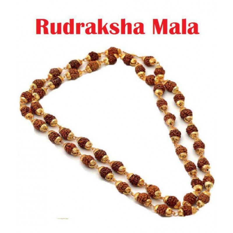 Amriteous  5 Mukhi Rudraksha/Rudraksh Mala With Gold Plated Cap - Pack of 1