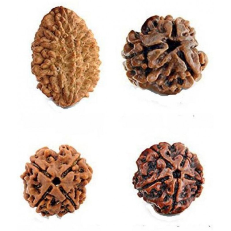 Amriteous Rudraksha Pack of 4