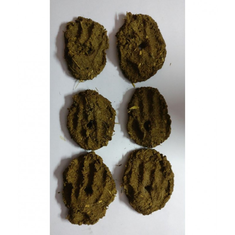 Angels Creation Cow Dunk Cake (Gobar Upla)