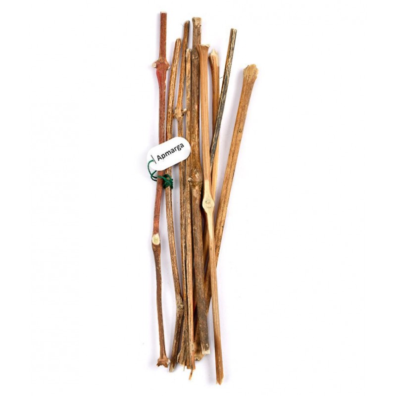 Apmarga Sticks used in Mercury - Para - Homam