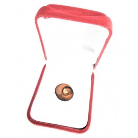 Apna Rudraksha - Marble Gomti Chakra ( Pack of 1 )