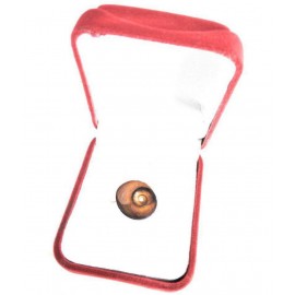 Apna Rudraksha - Stone Gomti Chakra ( Pack of 1 )