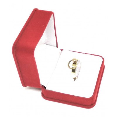 Apna Rudraksha Sampuran Shri Yantra Locket Gold Plated