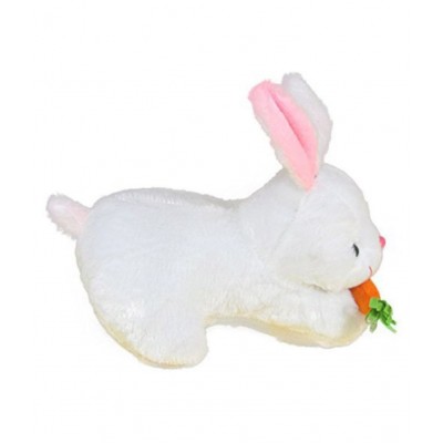 Aradhya Toys Rabbit with Carrot Stuffed Soft Plush Toy, White (30 cm)
