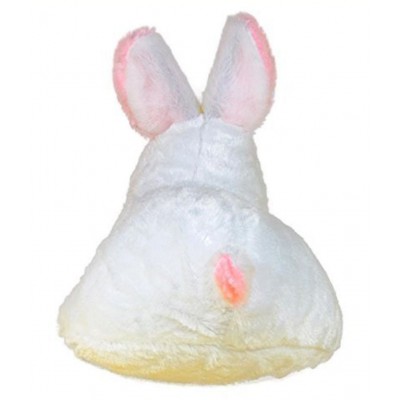Aradhya Toys Rabbit with Carrot Stuffed Soft Plush Toy, White (30 cm)