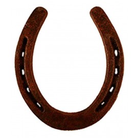 Arina Creation Iron Horse Shoe Ring