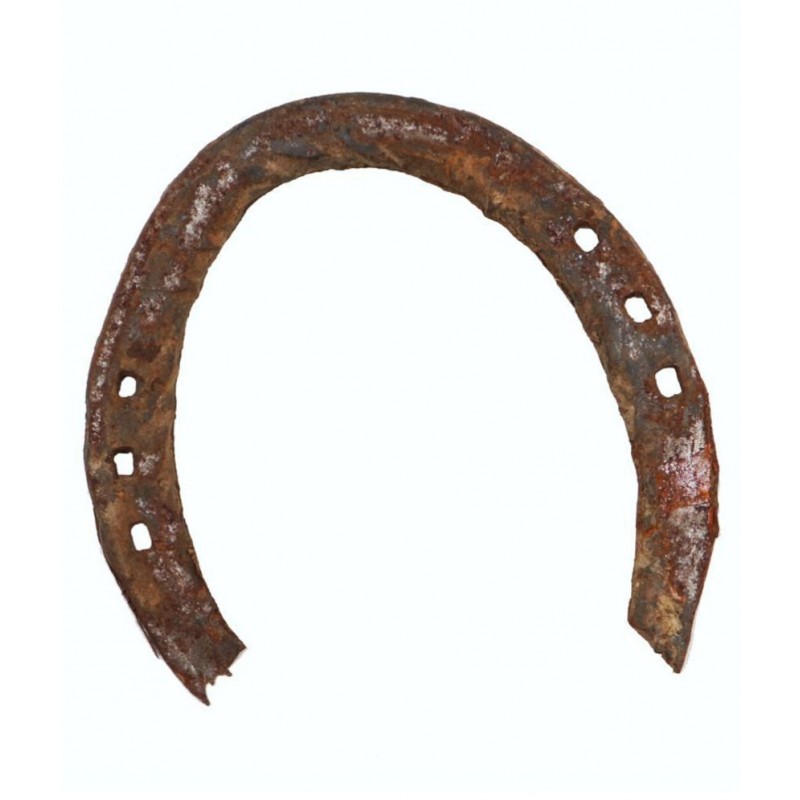 Arkam Black Horse Shoe / Kaale Ghode ki Naal / Original Kale Ghore ki Naal