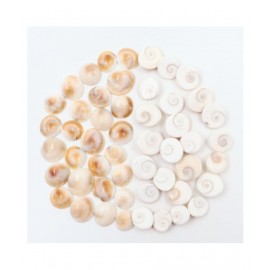 Arkam Gomti Chakra / Gomati Chakra / White Gomti Chakra / Original Premium Quality for Puja 12-15 mm - Set of 51 Pcs