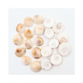 Arkam Gomti Chakra / Gomati Chakra / White Gomti Chakra / Original Premium Quality for Puja 12-15 mm - Set of 21 Pcs