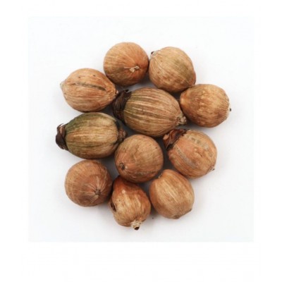 Arkam Laghu Nariyal / Shreephal / Shriphal / Mini Coconut / Premium Quality - Set of 11 Pcs