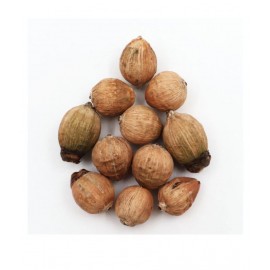 Arkam Laghu Nariyal / Shreephal / Shriphal / Mini Coconut / Premium Quality - Set of 11 Pcs